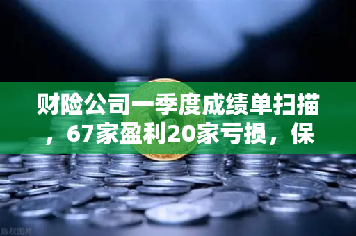 财险公司一季度成绩单扫描，67家盈利20家亏损，保险资金入市偏好解析