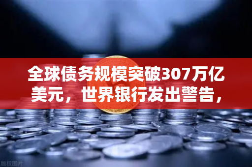 全球债务规模突破307万亿美元，世界银行发出警告，经济风险与投资新格局