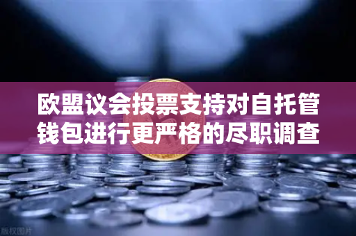 欧盟议会投票支持对自托管钱包进行更严格的尽职调查，加密行业迎来监管新篇章