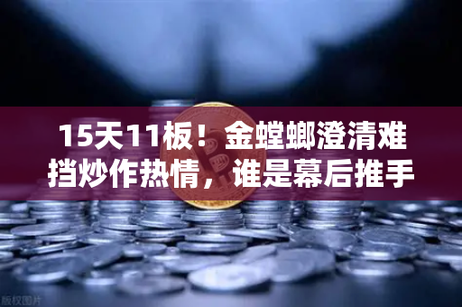 15天11板！金螳螂澄清难挡炒作热情，谁是幕后推手？游资手法解析