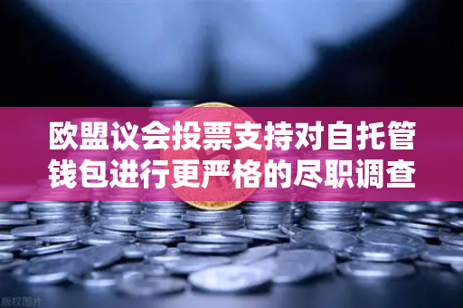 欧盟议会投票支持对自托管钱包进行更严格的尽职调查，加密货币监管新篇章