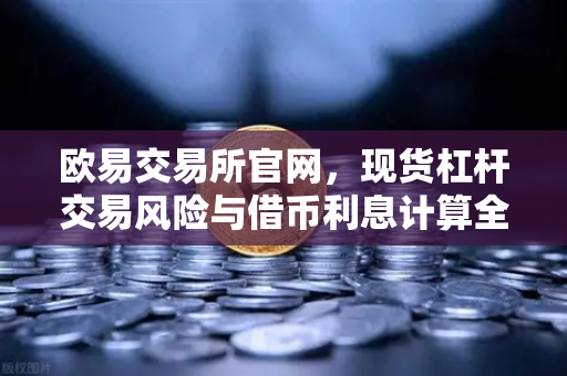 欧易交易所官网，现货杠杆交易风险与借币利息计算全解析