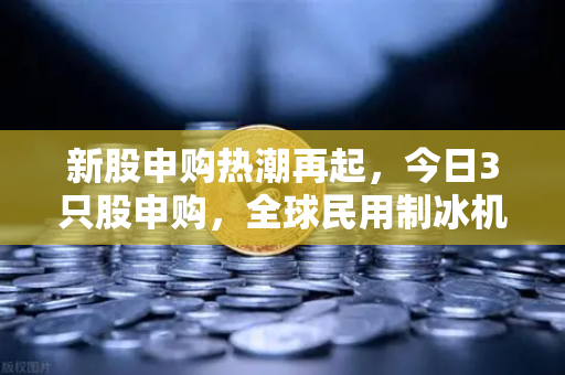 新股申购热潮再起，今日3只股申购，全球民用制冰机龙头领衔，炒作逻辑深度解析