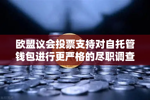 欧盟议会投票支持对自托管钱包进行更严格的尽职调查，加密合规新时代来临