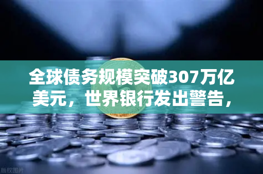 全球债务规模突破307万亿美元，世界银行发出警告，投资者避险情绪升温