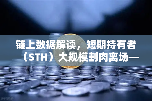 链上数据解读,短期持有者(STH)大规模割肉离场—市场底部信号还是恐慌延续?-第1张图片-欧易交易所 链上数据解读,短期持有者(STH)大规模割肉离场—市场底部信号还是恐慌延续?-第1张图片-欧易交易所
