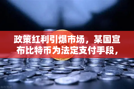 政策红利引爆市场，某国宣布比特币为法定支付手段，税收全免 数字资产新时代的里程碑