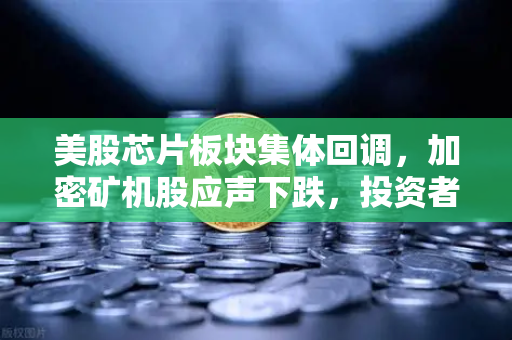 美股芯片板块集体回调，加密矿机股应声下跌，投资者在担心什么？