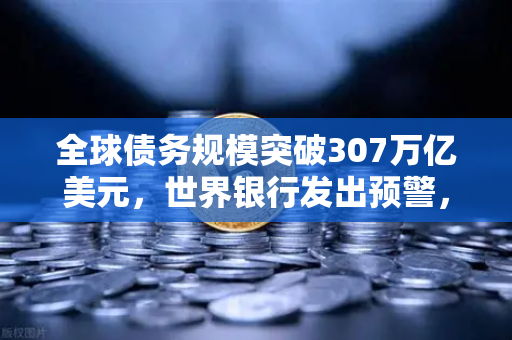 全球债务规模突破307万亿美元，世界银行发出预警，欧易交易所官网深度解读经济风险与投资策略
