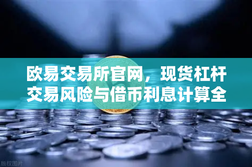 欧易交易所官网，现货杠杆交易风险与借币利息计算全解析