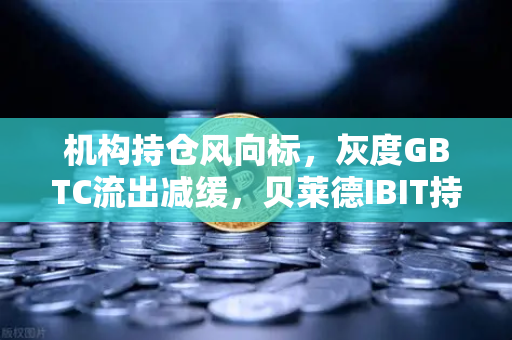 机构持仓风向标，灰度GBTC流出减缓，贝莱德IBIT持续吸金，市场信心逐步回暖