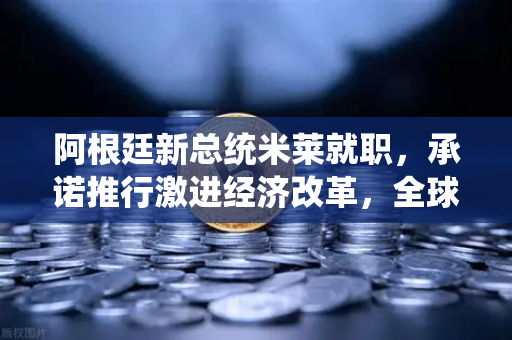 阿根廷新总统米莱就职，承诺推行激进经济改革，全球金融市场与欧易交易所官网的联动效应