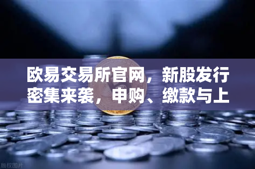 欧易交易所官网，新股发行密集来袭，申购、缴款与上市全攻略指南