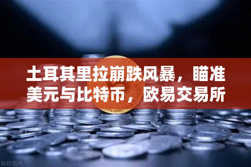 土耳其里拉崩跌风暴，瞄准美元与比特币，欧易交易所下载量激增揭示避险新逻辑