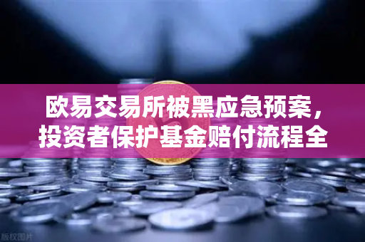 欧易交易所被黑应急预案,投资者保护基金赔付流程全解析-第1张图片-欧易交易所 欧易交易所被黑应急预案,投资者保护基金赔付流程全解析-第1张图片-欧易交易所