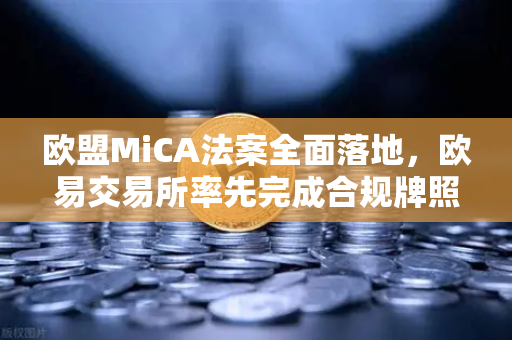 欧盟MiCA法案全面落地，欧易交易所率先完成合规牌照申请，引领数字资产监管新时代-第1张图片-欧易交易所