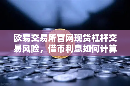 欧易交易所官网现货杠杆交易风险,借币利息如何计算?全面解析与实战问答-第1张图片-欧易交易所 欧易交易所官网现货杠杆交易风险,借币利息如何计算?全面解析与实战问答-第1张图片-欧易交易所