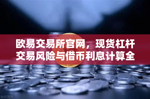 欧易交易所官网,现货杠杆交易风险与借币利息计算全解析-第1张图片-欧易交易所 欧易交易所官网,现货杠杆交易风险与借币利息计算全解析-第1张图片-欧易交易所
