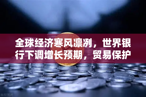 全球经济寒风凛冽，世界银行下调增长预期，贸易保护主义抬头如何影响您的投资？