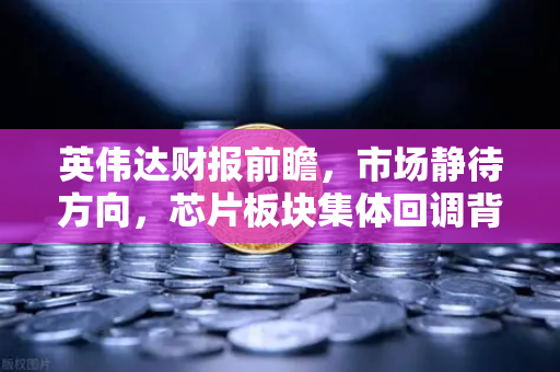 英伟达财报前瞻,市场静待方向,芯片板块集体回调背后的真相-第1张图片-欧易交易所 英伟达财报前瞻,市场静待方向,芯片板块集体回调背后的真相-第1张图片-欧易交易所