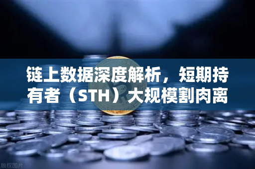 链上数据深度解析,短期持有者(STH)大规模割肉离场,市场底在何方?-第1张图片-欧易交易所 链上数据深度解析,短期持有者(STH)大规模割肉离场,市场底在何方?-第1张图片-欧易交易所