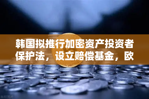 韩国拟推行加密资产投资者保护法，设立赔偿基金，欧易交易所官网深度解读