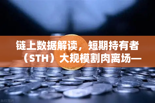 链上数据解读，短期持有者（STH）大规模割肉离场—市场底部信号还是风险预警？