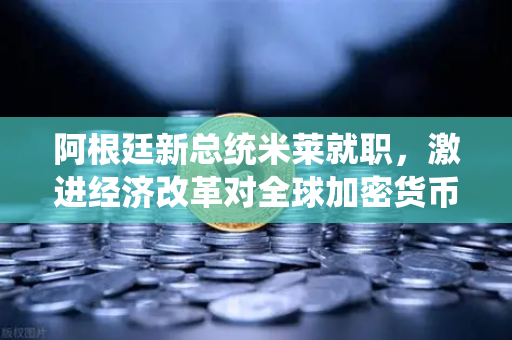 阿根廷新总统米莱就职，激进经济改革对全球加密货币市场的影响