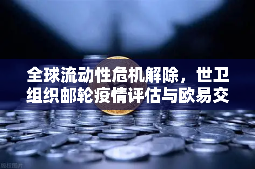 全球流动性危机解除，世卫组织邮轮疫情评估与欧易交易所官网的启示