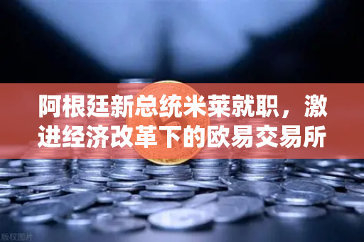 阿根廷新总统米莱就职，激进经济改革下的欧易交易所最新动态