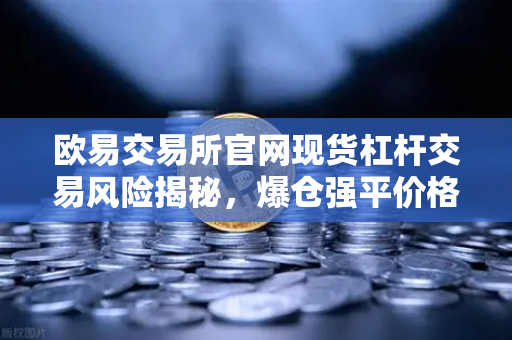 欧易交易所官网现货杠杆交易风险揭秘，爆仓强平价格计算全解析
