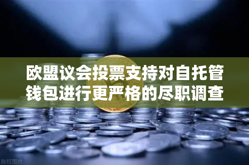 欧盟议会投票支持对自托管钱包进行更严格的尽职调查，加密世界的新风向